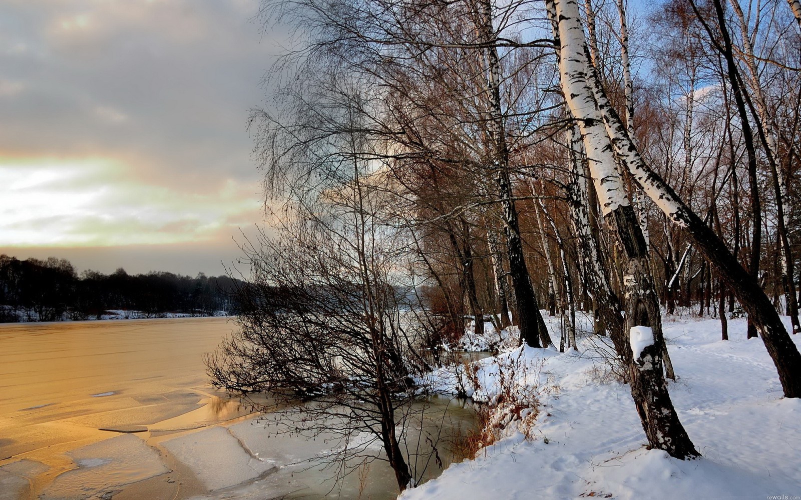 Trees are standing in the snow near a body of water (landscape painting, landscape, snow, winter, tree)