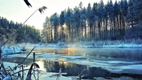 winter, snow, nature, natural landscape, water wallpaper