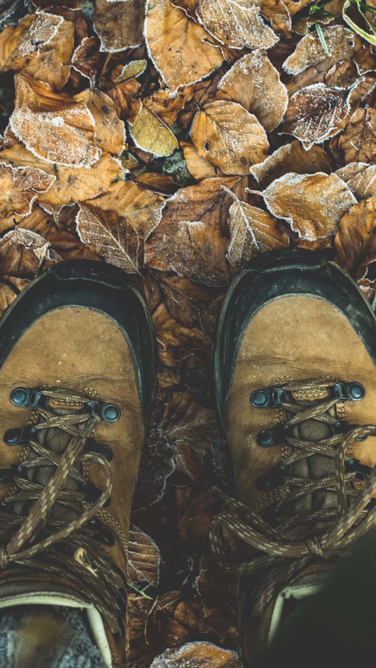 Alguien está de pie en el suelo con los zapatos cubiertos de hojas (senderismo, sendero, viajar, calzado, marrón)