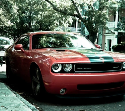 carro, dodge, vermelho