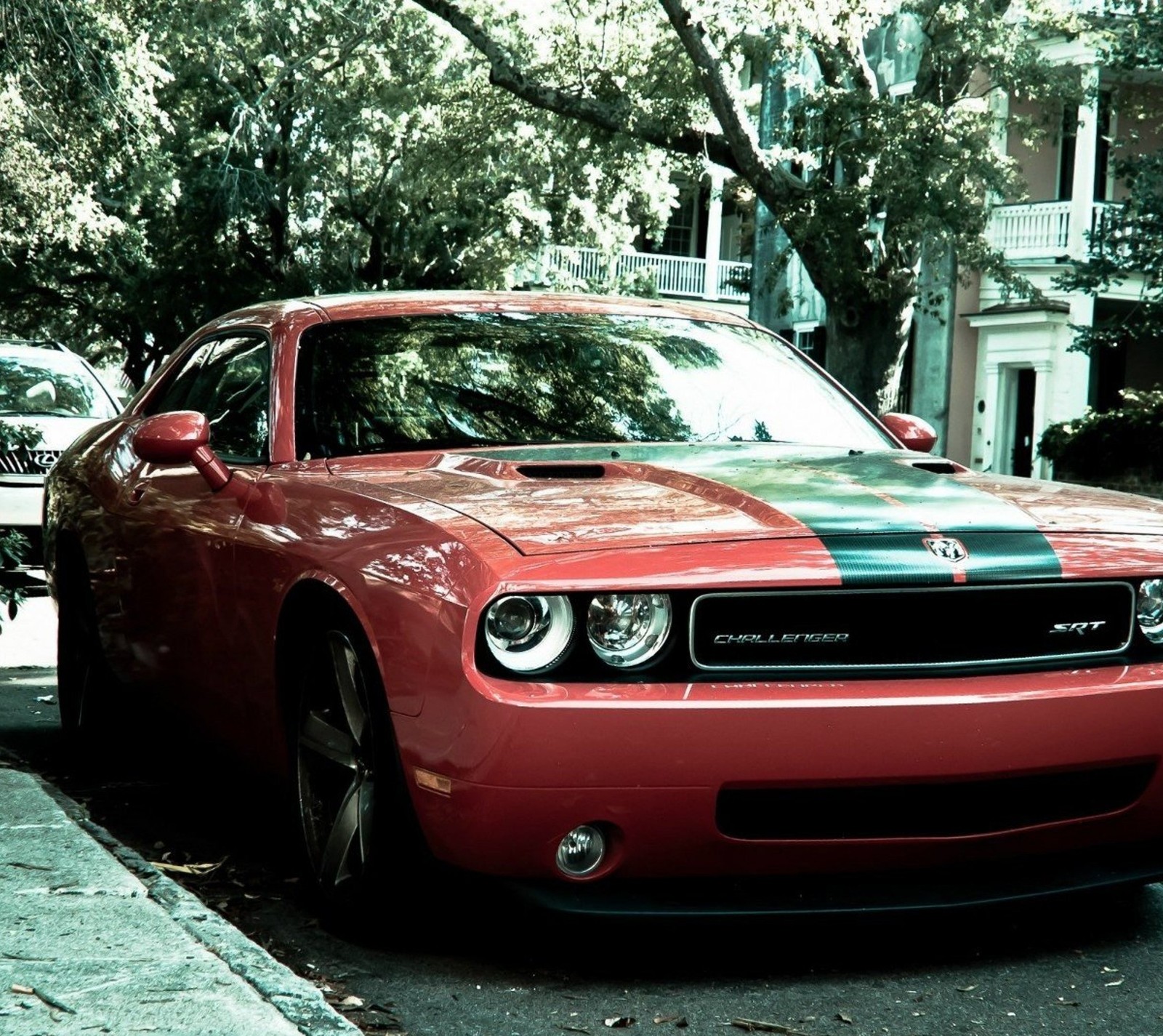 Ein arabisches rotes auto, das am straßenrand mit einem grünen streifen parkt (auto, dodge, rot)