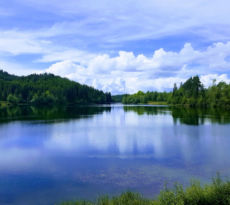 Озеро с лодкой, окруженное деревьями (синий, лес, озеро, вода, леса)