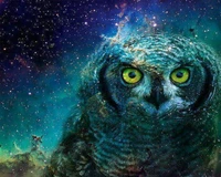 Hibou Cosmique : Une Fusion Abstraite Éblouissante de Couleurs dans l'Univers