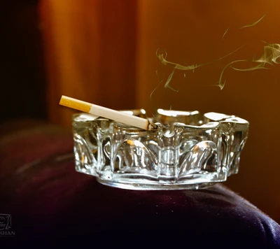 A lit cigarette resting in a crystal ashtray, wisps of smoke curling upward.