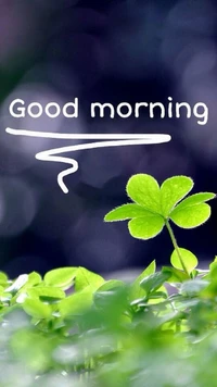 good morning, plants wallpaper