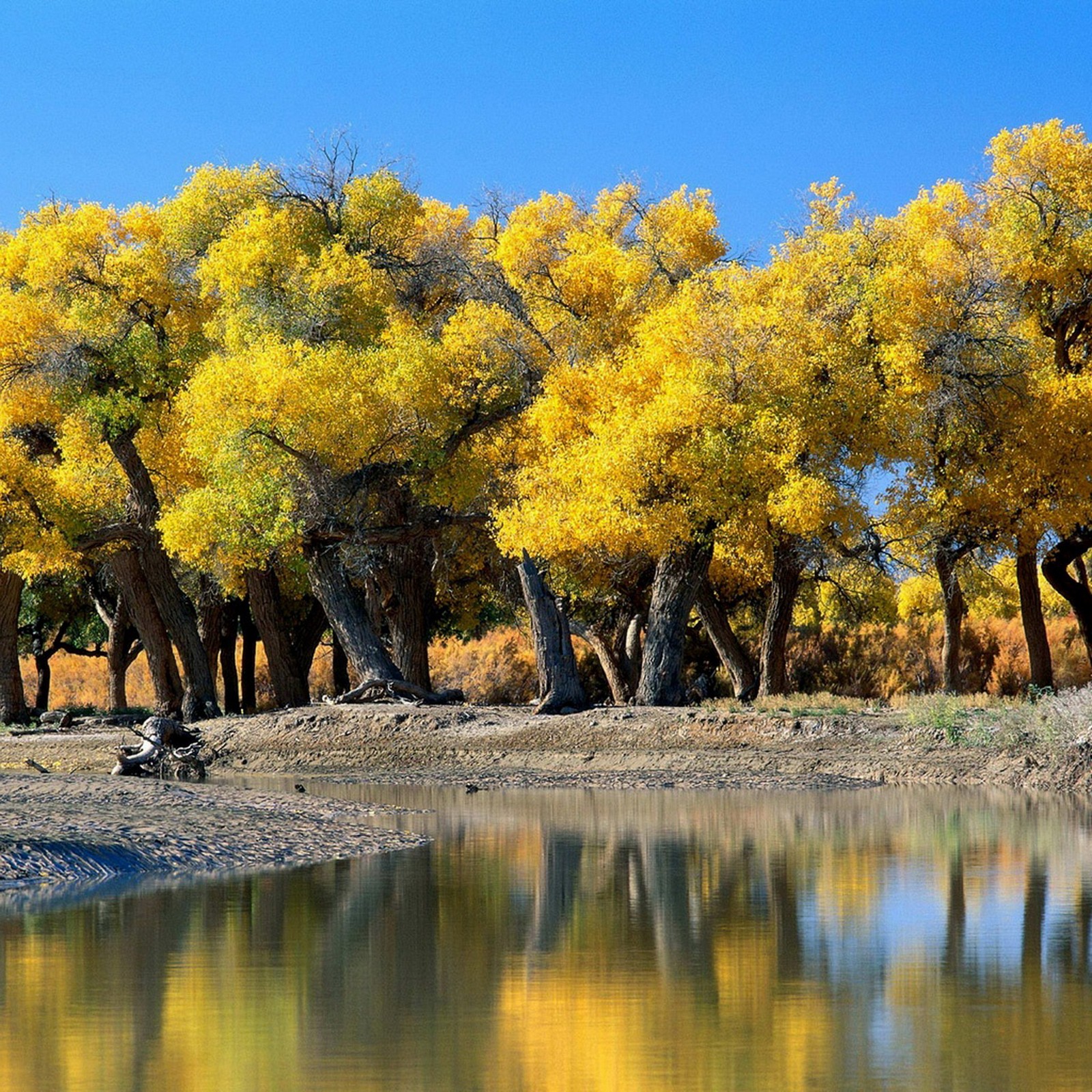 Lade landschaft, natur Hintergrund herunter