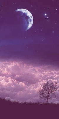 clouds, landscape, moon, night, purple wallpaper