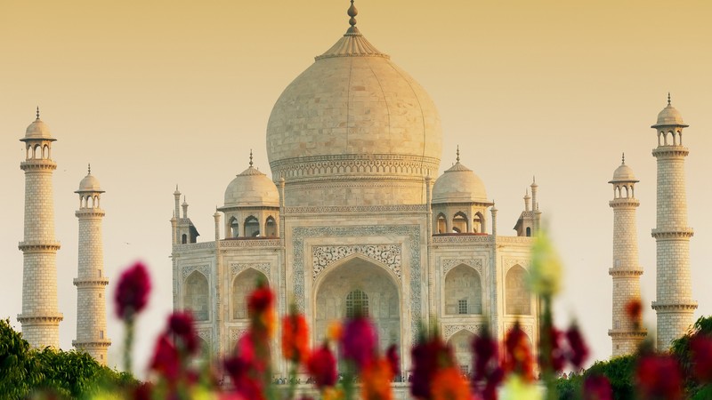 Крупный план здания с множеством цветов перед ним (тадж махал, ф fort агра, agra fort, достопримечательность, историческое место)