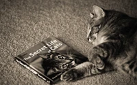 Gato tabby aconchegante relaxando ao lado do livro 'A vida secreta dos gatos