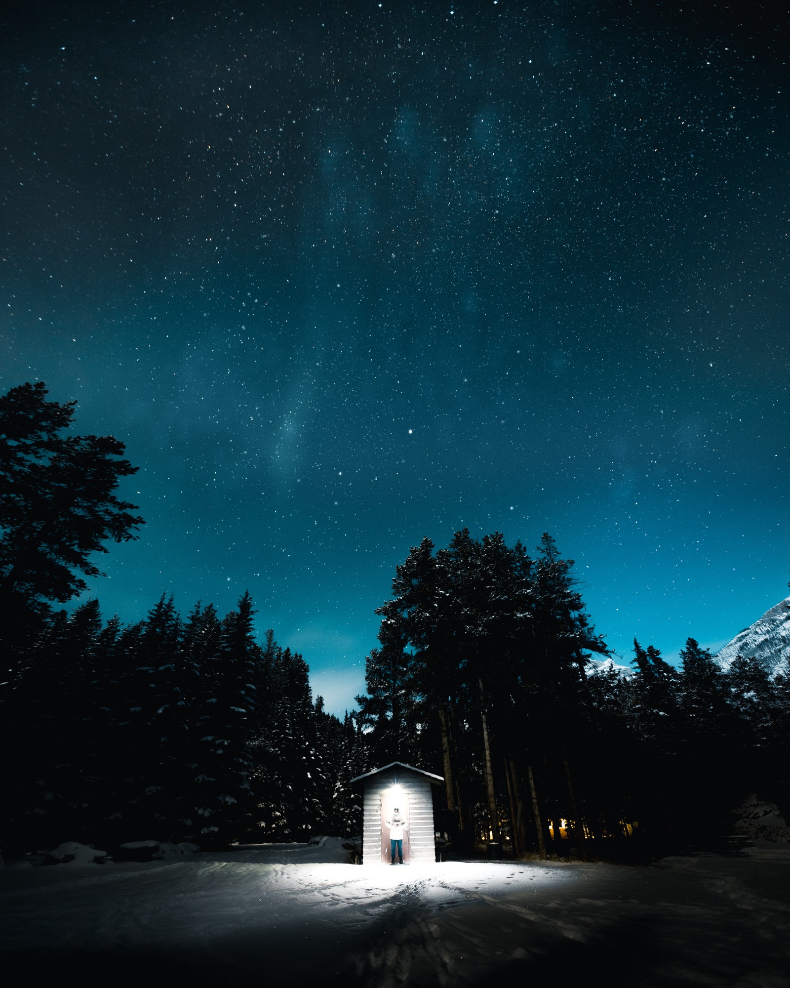 Cielo estrellado sobre una pequeña cabaña en medio de un bosque (noche, negro, oscuridad, azul, árbol)