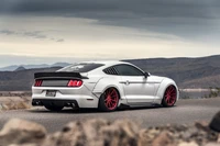 shelby mustang, ford gt, voiture de sport, ford, voiture