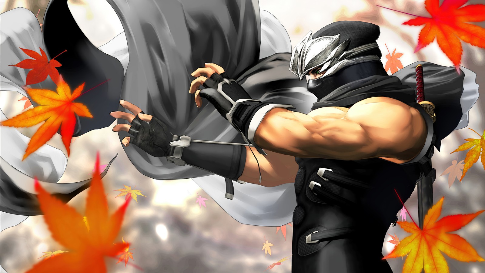 Lade ninja gaiden, videospiel, ryu hayabusa Hintergrund herunter