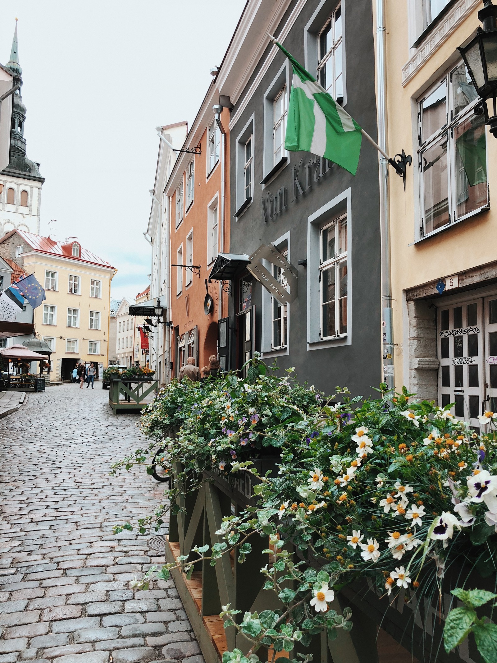 Lade blume, fenster, pflanze, nachbarschaft, fahne Hintergrund herunter