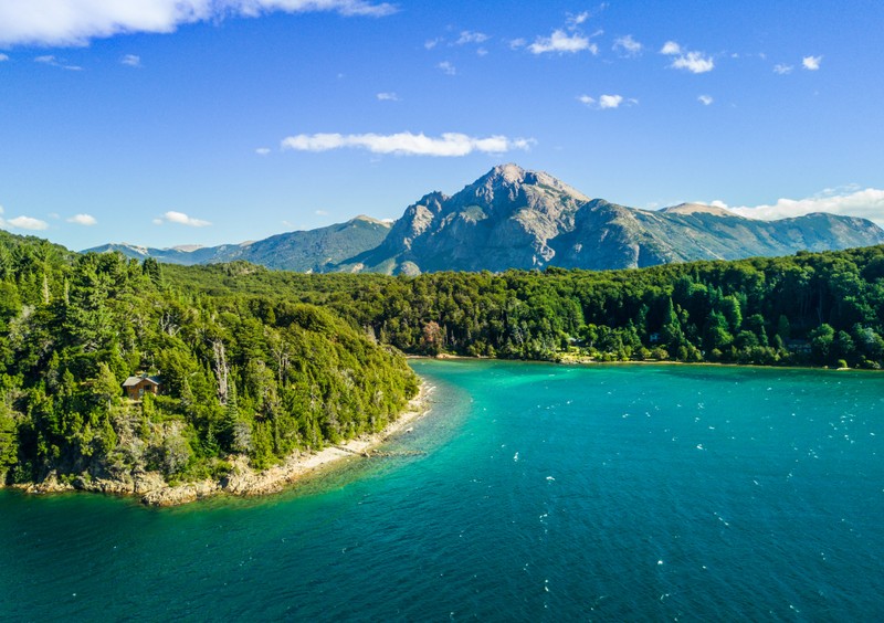 Вид на озеро, окруженное деревьями и горами (лес, горы, nahuel huapi lake, аргентина, пейзаж)