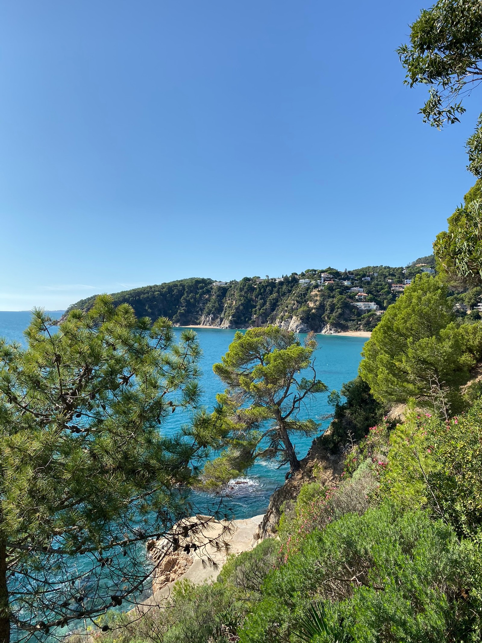 A view of a beach with a body of water and trees (coast, nature, vegetation, natural landscape, nature reserve)