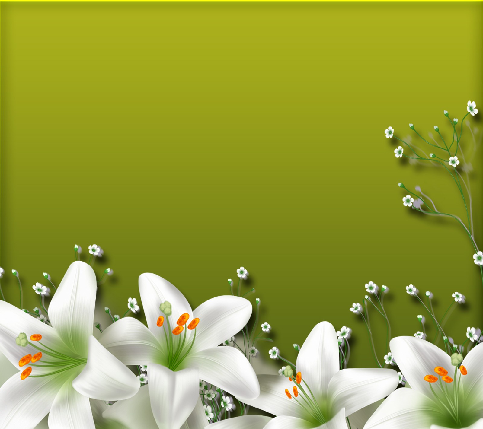 There are many white flowers in a green background with a yellow border (abstract, flowers, lillies, nature, white)