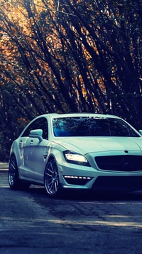 Sleek Mercedes CLS63 AMG au milieu du feuillage d'automne