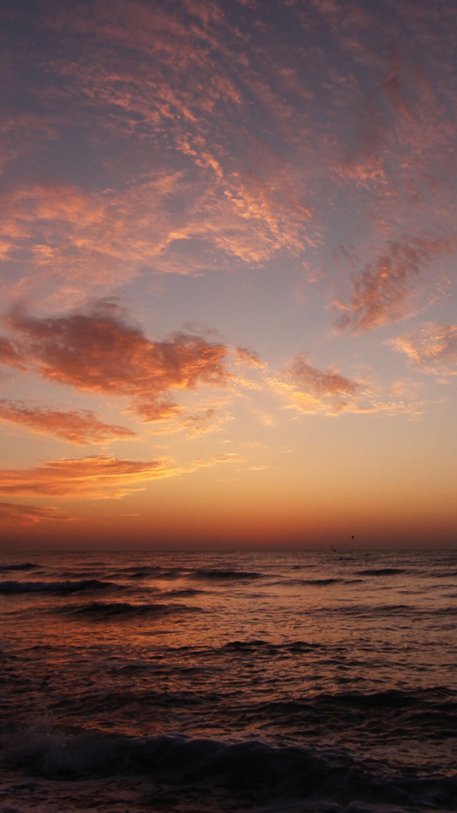 Coucher de soleil sur l'océan avec un oiseau solitaire volant au loin (on the water, coucher de soleil)