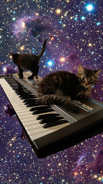 Weltraumkätzchen jammen an einem Synthesizer