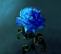 azul, flor, rosa