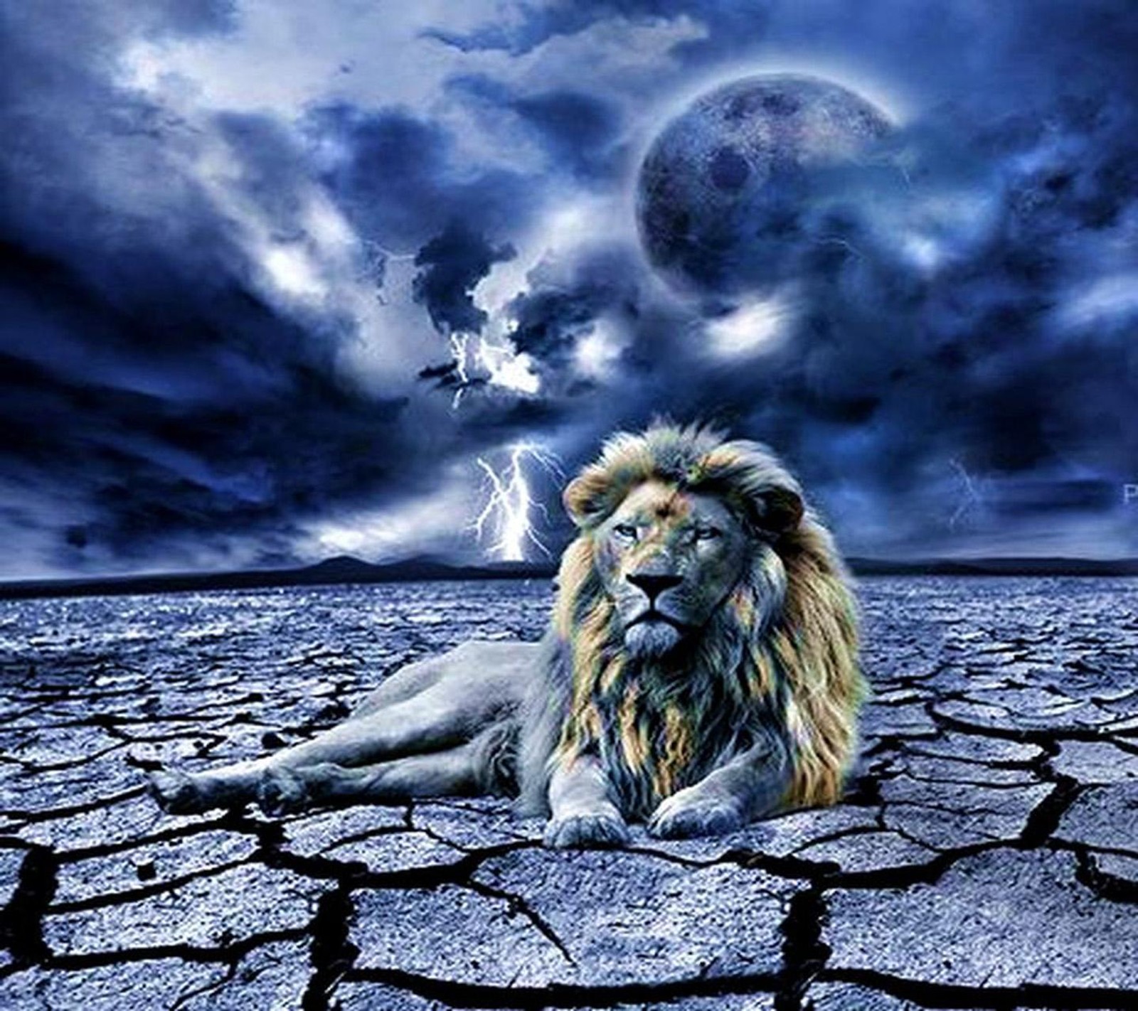 A lion laying on the ground in front of a full moon (lion, wallpaper)