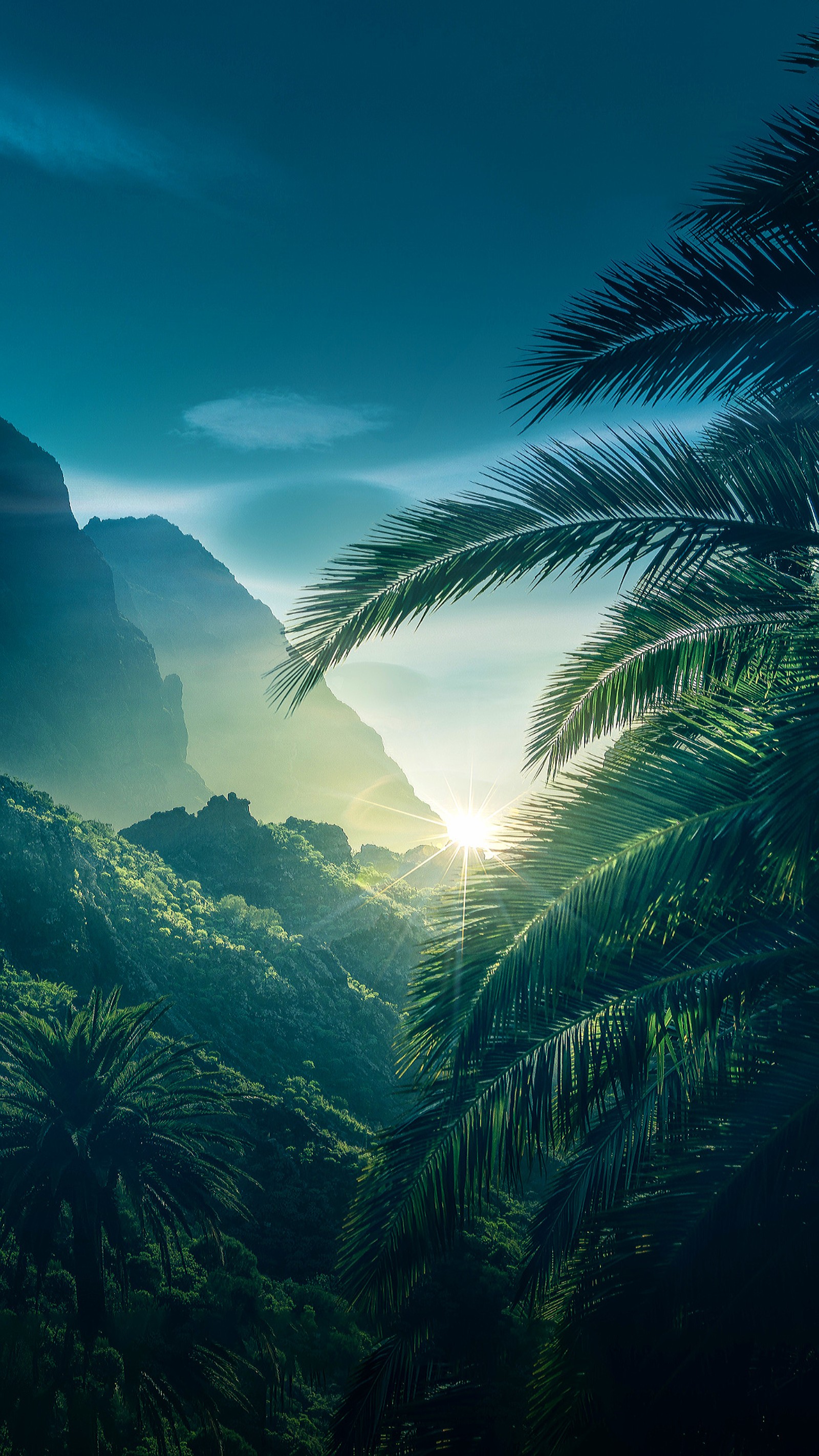 There is a view of a valley with palm trees and mountains (forest, green, mountains, nature, sun)