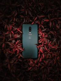 OnePlus 6T: A Fusion of Technology and Nature Amidst Red Leaves