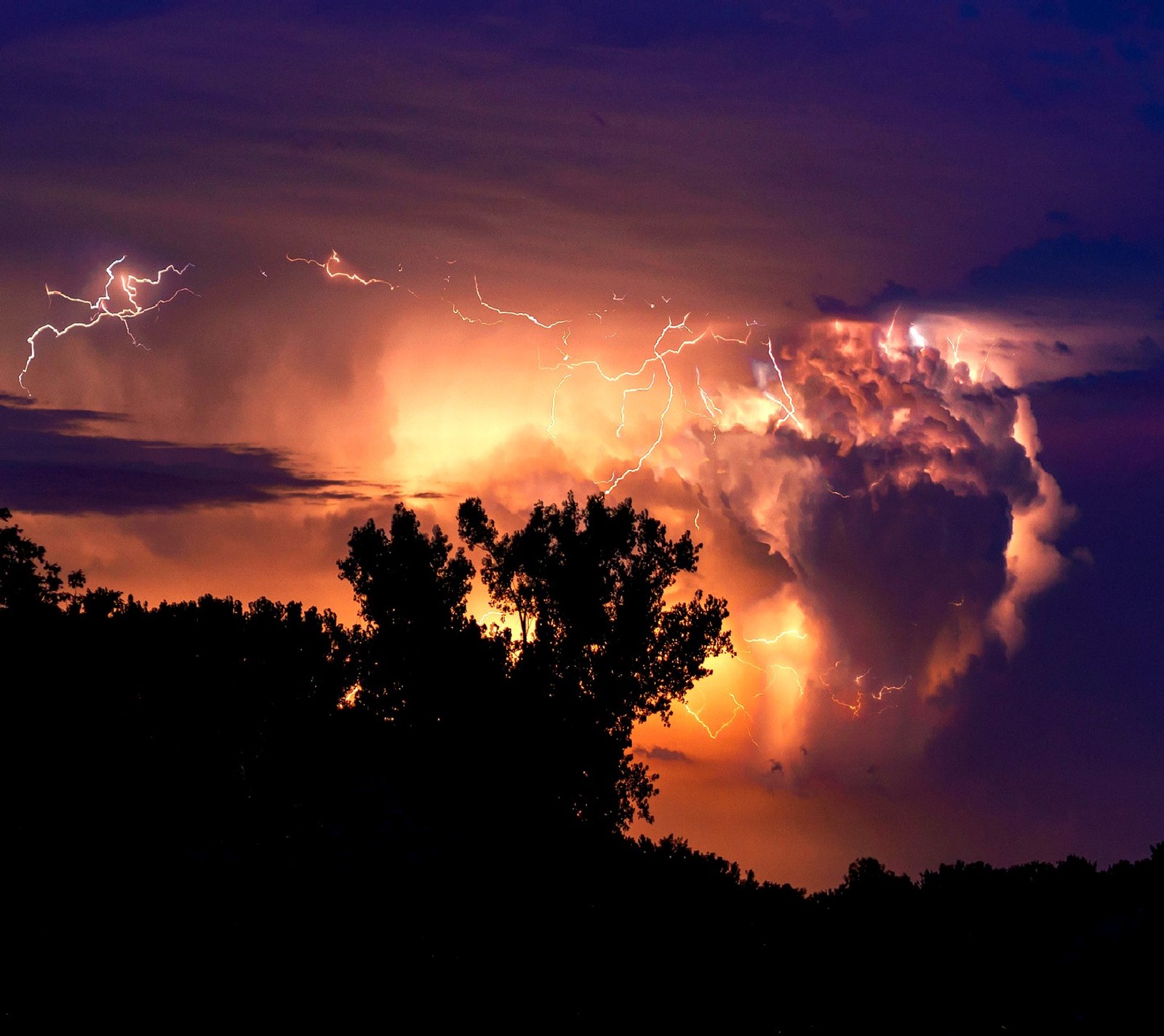 Relâmpago e trovão sobre uma árvore em um céu roxo (tempestade)