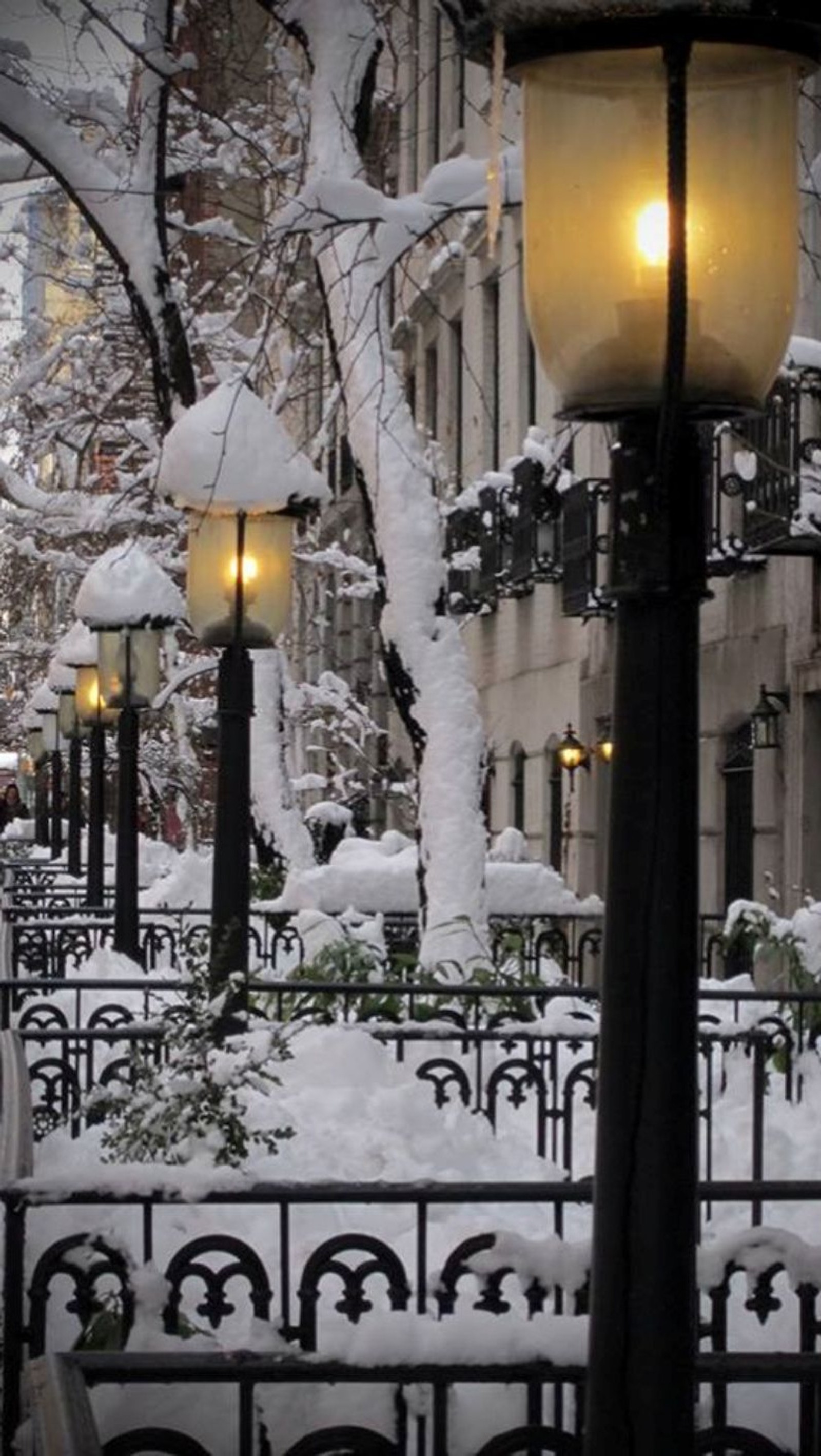 Snowy scene of a street light in a city park (nature, snow, winter)