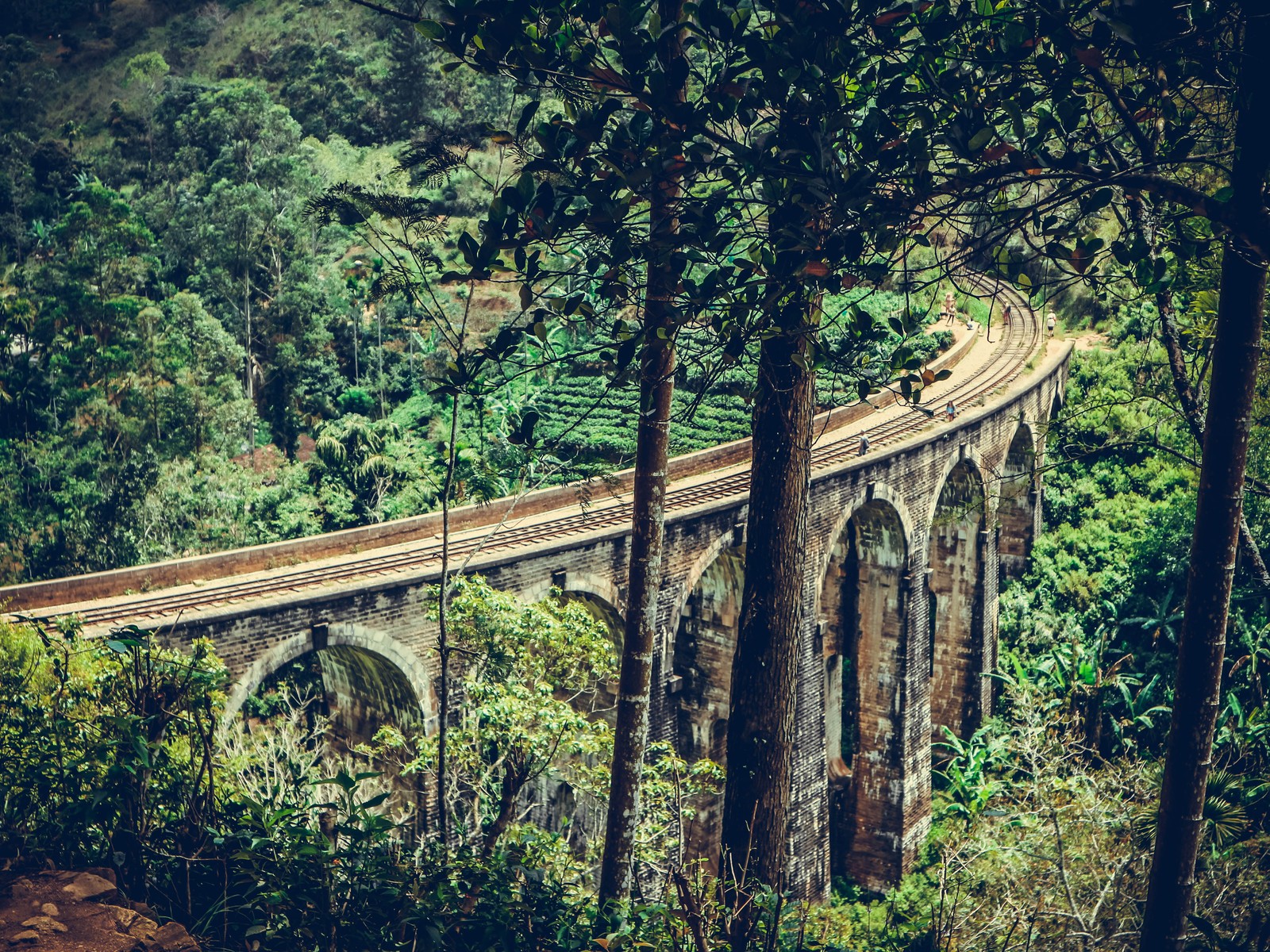 Téléchargez le fond d'écran romantique, sri lanka, ella