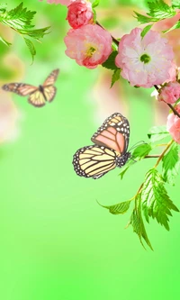 arte, bonito, borboleta, flor de cerejeira, floral