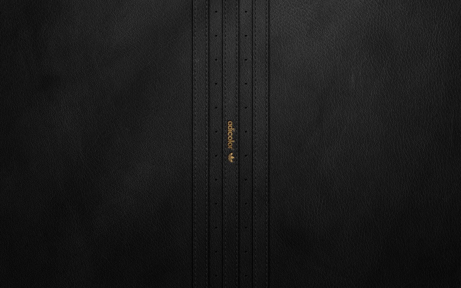 Um close de uma bolsa de couro preta com um logotipo dourado (preto, zíper, madeira, nike, linha)