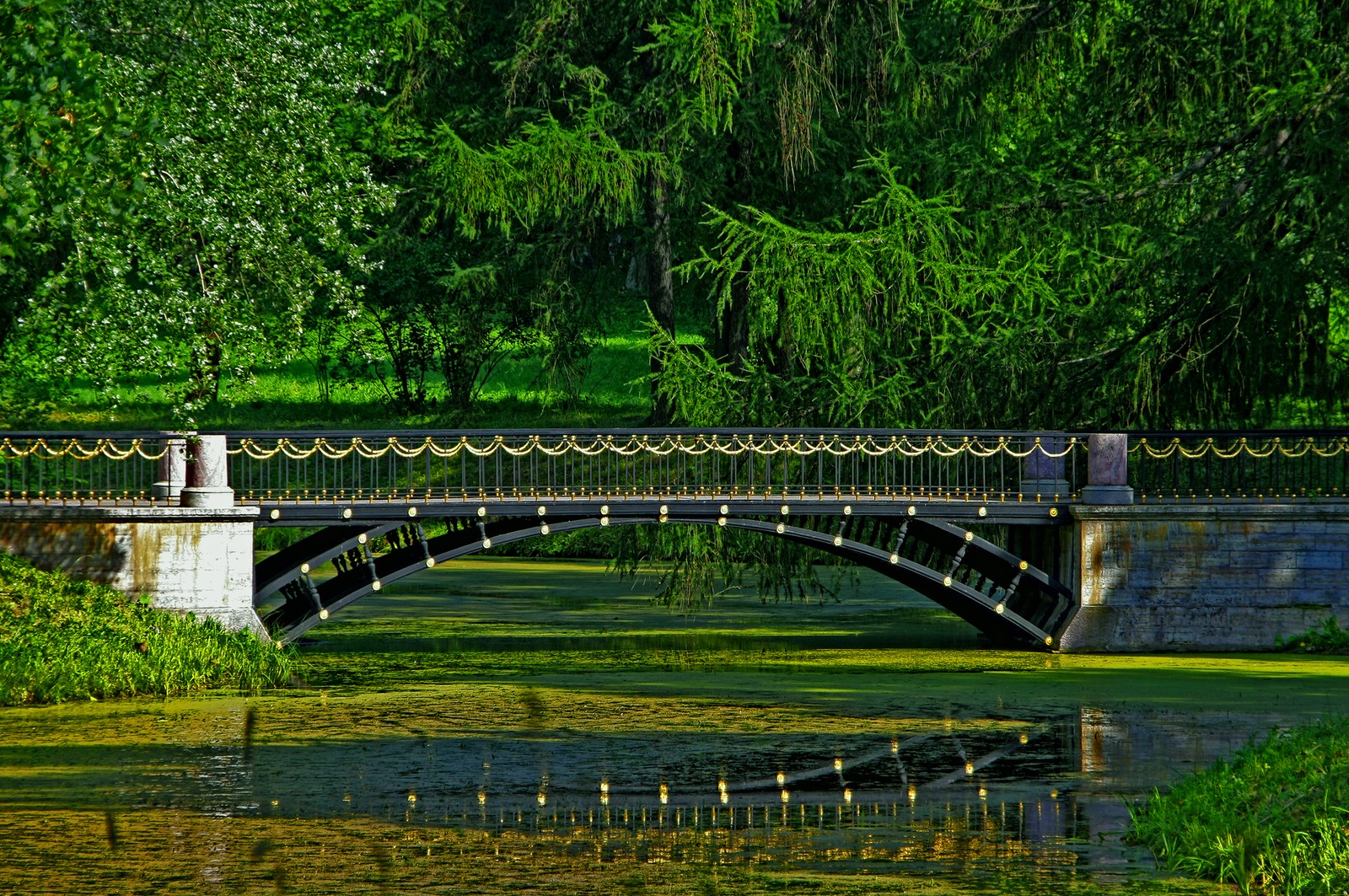 Uma ponte arqueada sobre um pequeno lago com um banco ao lado (natureza, são petersburgo, saint petersburg, parque, ponte)