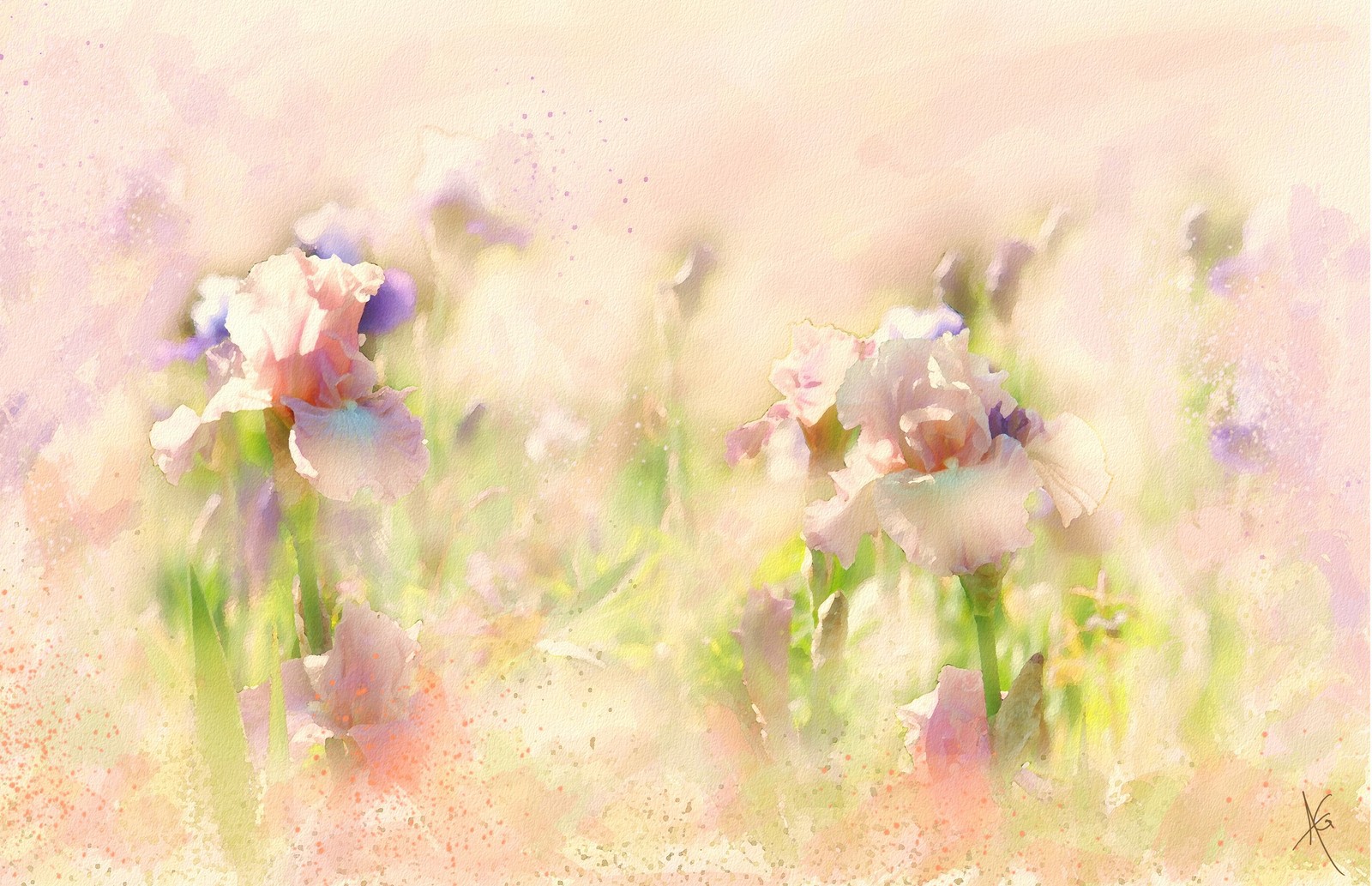 Painting of a field of purple flowers with a pink sky background (lavender, paint, paints, graphics, flower)