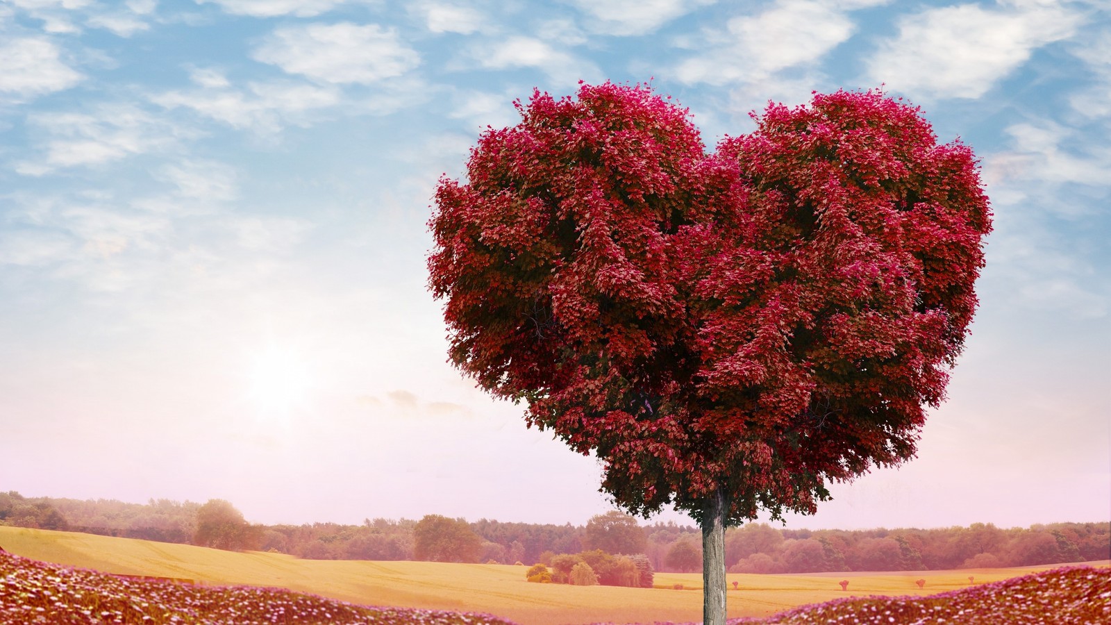 Un arbre en forme de cœur dans un champ (cœur, arbre, rouge, nature, feuille)