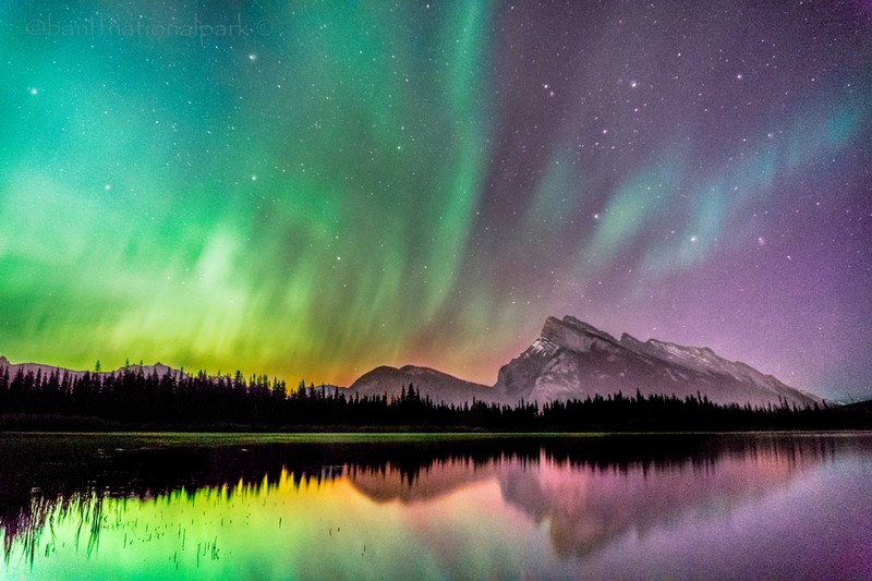 Зеленое и фиолетовое северное сияние над озером с деревьями. (банф, banff, аврора, природа, природный пейзаж)