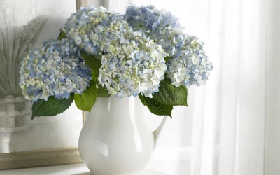 Elegant Blue and White Hydrangea Bouquet in a White Vase