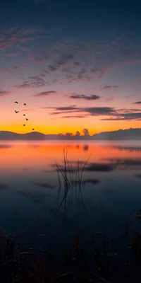 Reflexiones de atardecer sereno con aves en silueta sobre aguas tranquilas