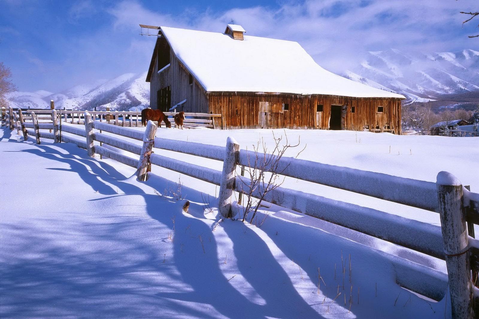 Snowy scene of a barn and fence with a horse in the snow (barn, winter, snow, freezing, log cabin)