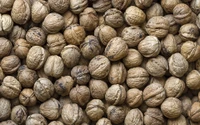 Textured Pile of Whole Walnuts