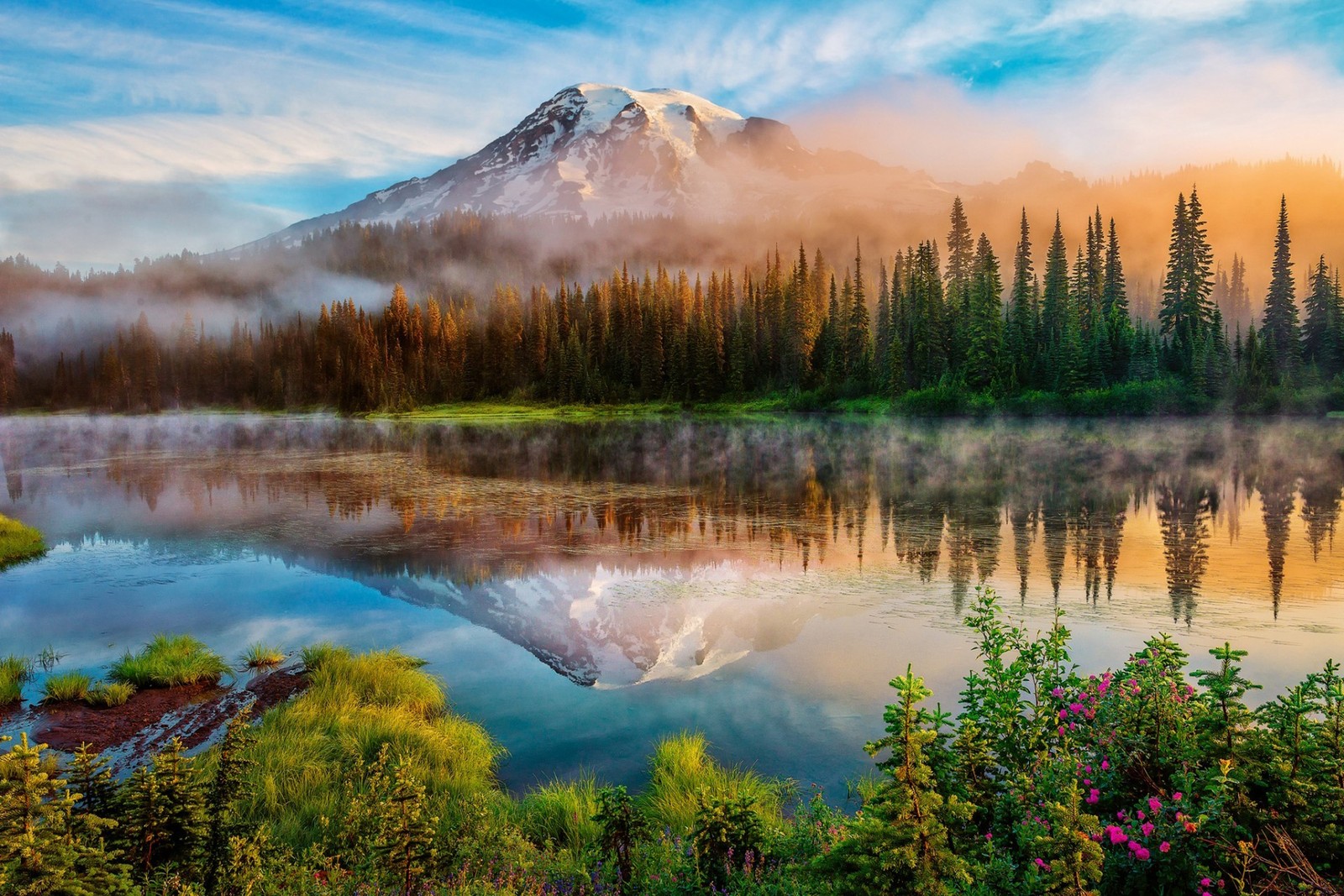 Гора с озером и деревьями на переднем плане (гора рейнир, mount rainier, природа, природный пейзаж, отражение)