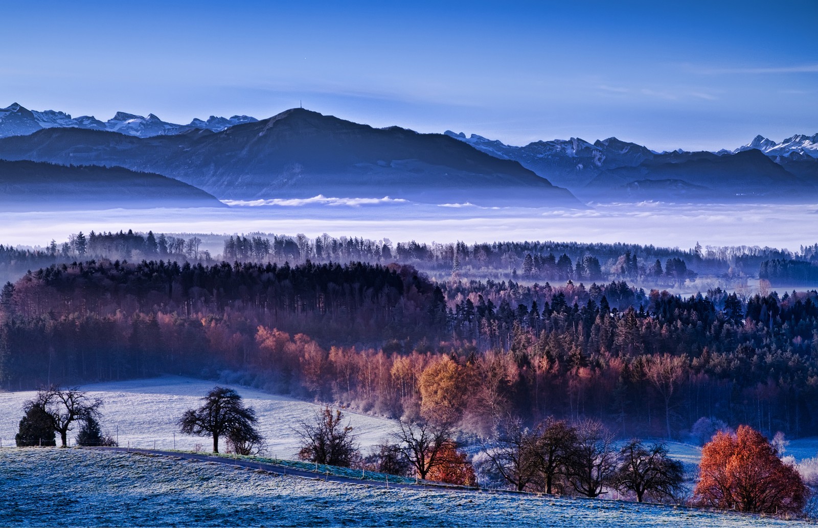 A view of a valley with trees and mountains in the background (nature, mountain, winter, mountainous landforms, snow)