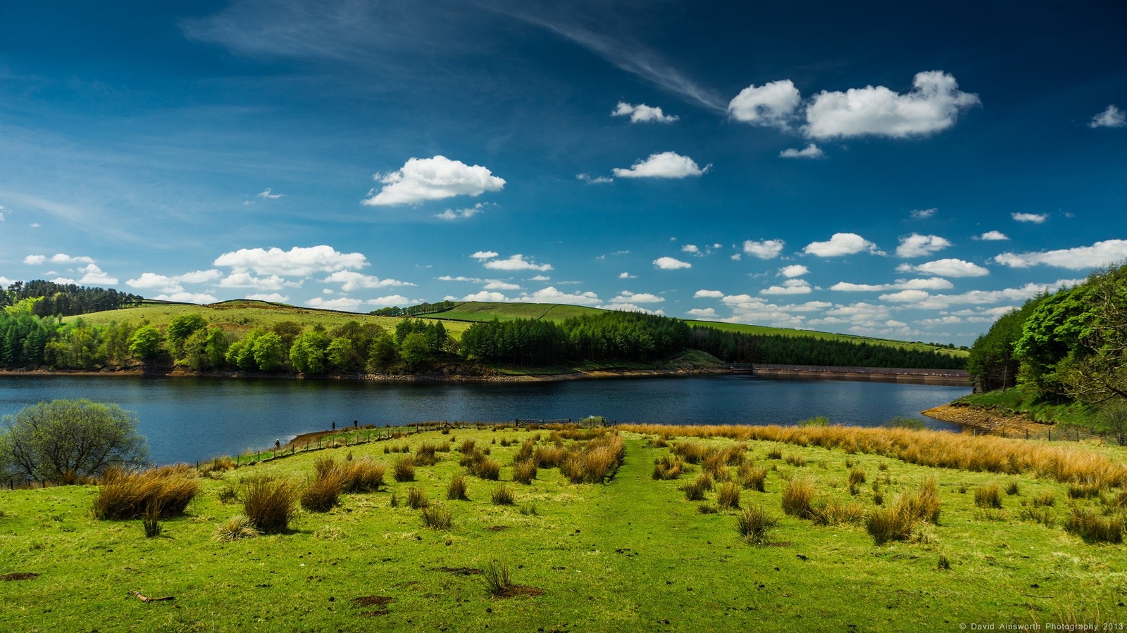 A view of a lake surrounded by green grass and trees (nature, water, lake, water resources, sky)