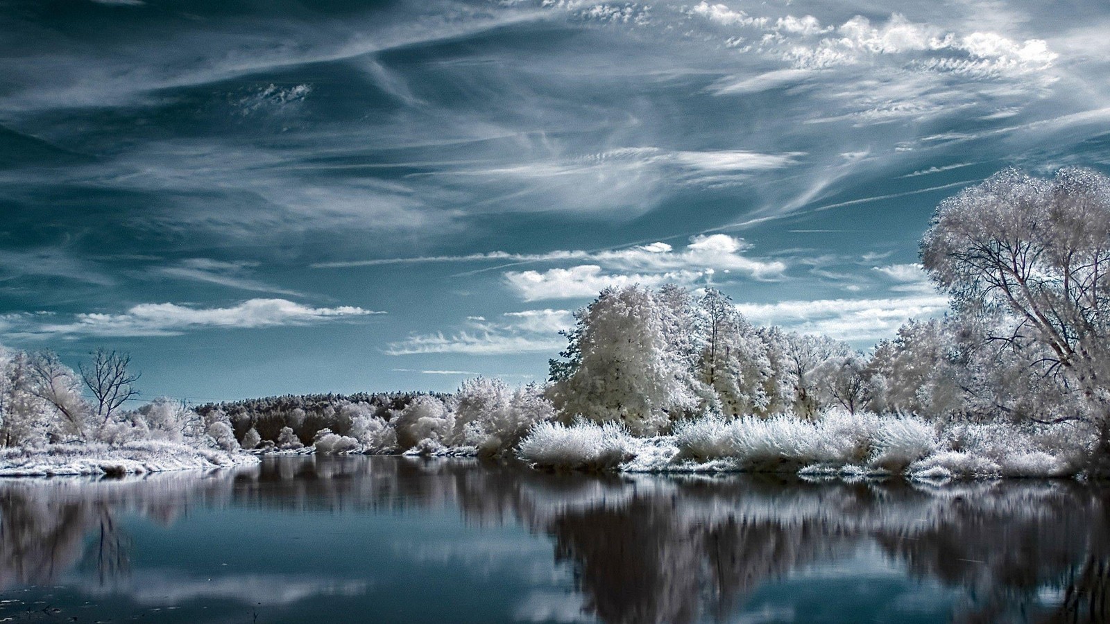 As árvores se refletem na água de um lago com um céu ao fundo (natureza, água, reflexo, nuvem, inverno)