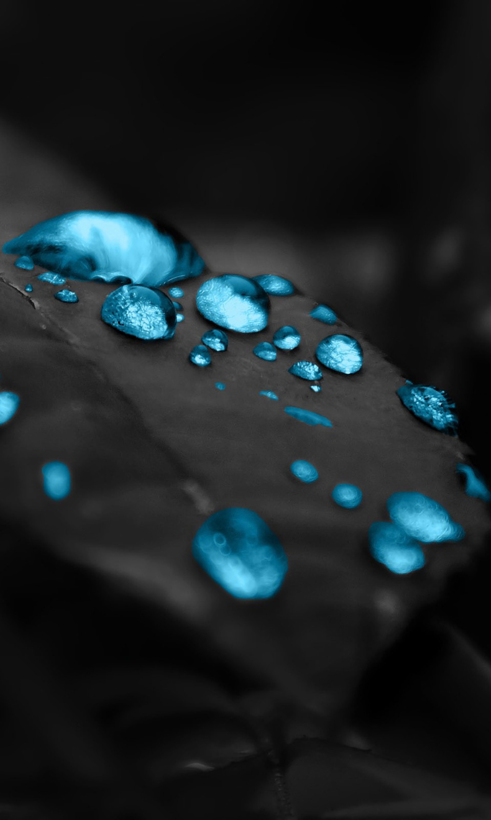 A close up of a leaf with water droplets on it (drops, leaf)