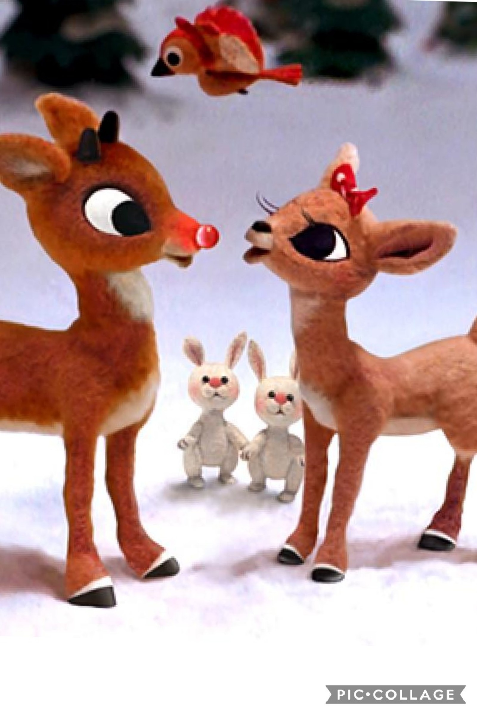 Rudolph the reindeer and friends are standing in the snow (magical, red, reindeer)