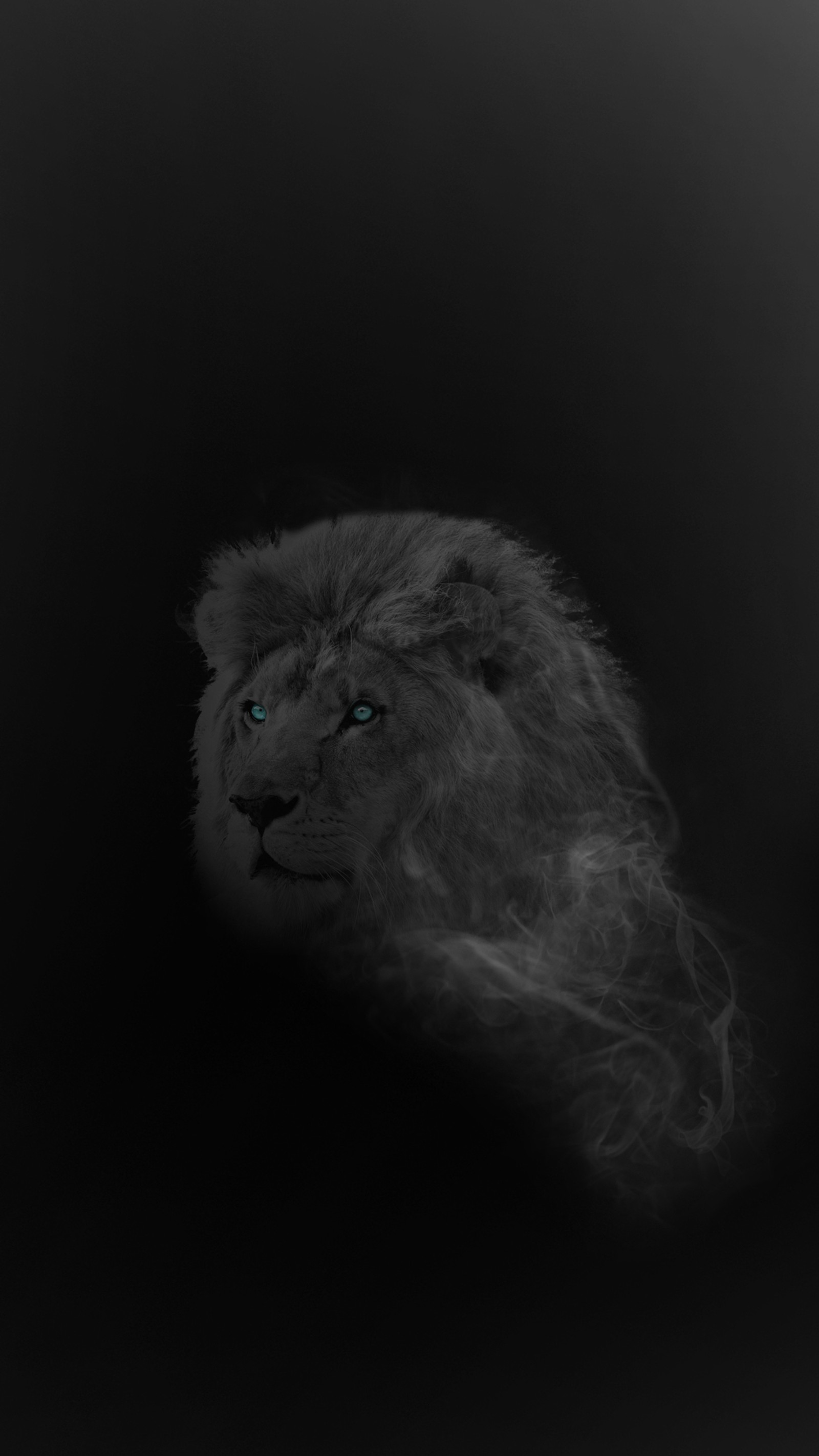 A close up of a black and white photo of a lion (lion, photoshp art, smoke)