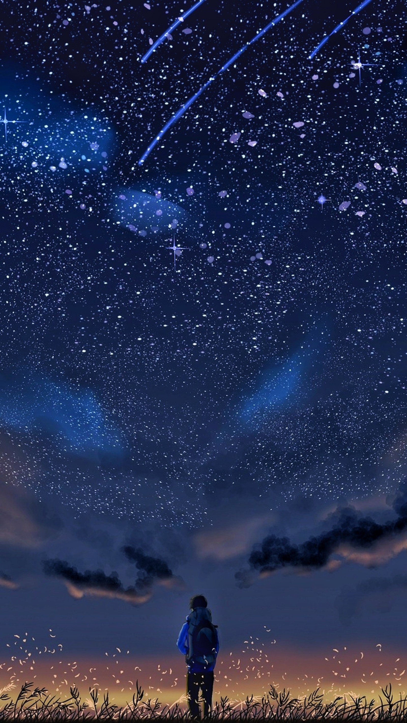 Céu noturno estrelado com uma pessoa em pé na grama olhando as estrelas (anime, hd, noite, estrelas)