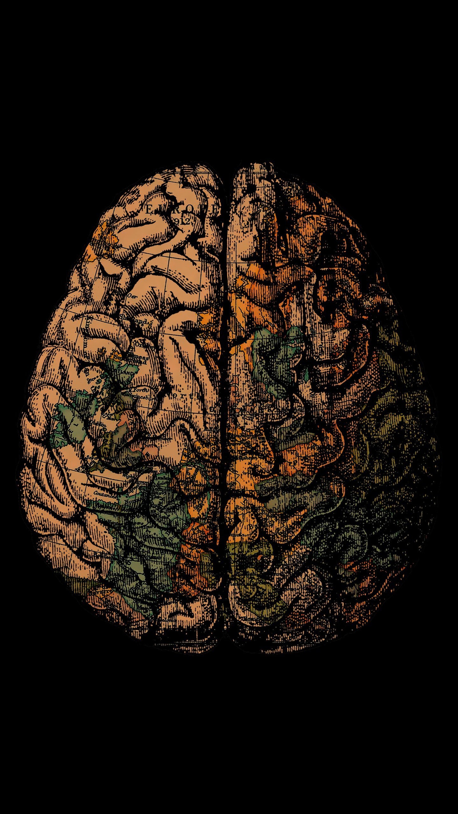 There is a picture of a brain with a black background (amoled, black, brain, green, hd)