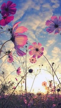 Flores vibrantes contra un cielo de atardecer